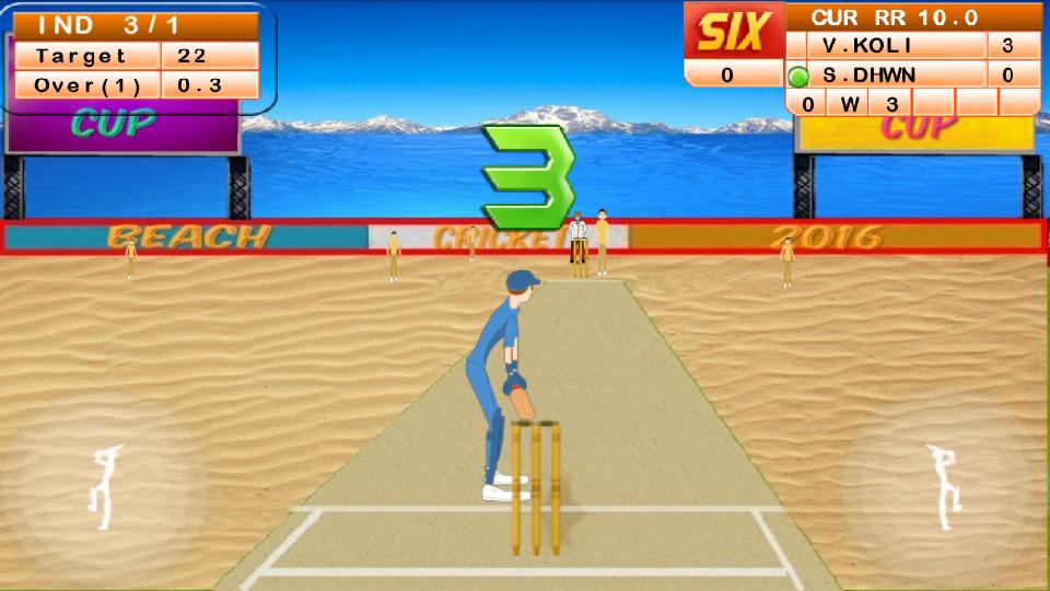 Beach Cricket 2017!