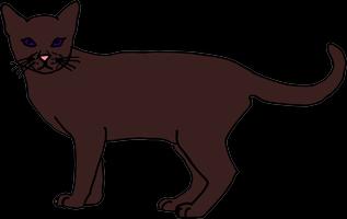 CatApp