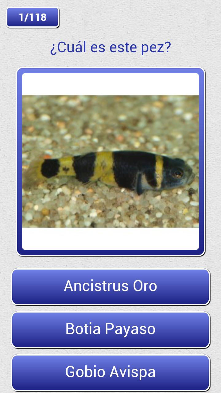 Adivina los Peces