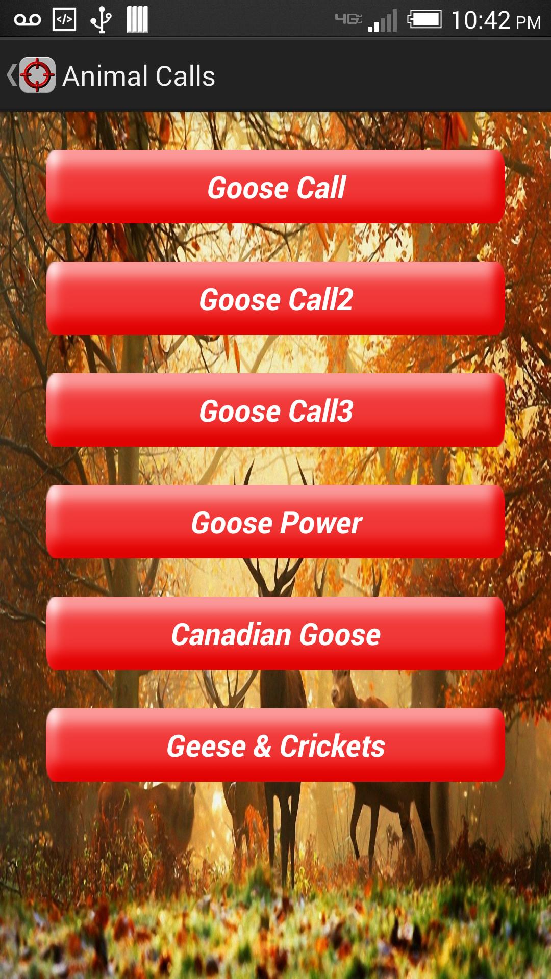 Animal Calls