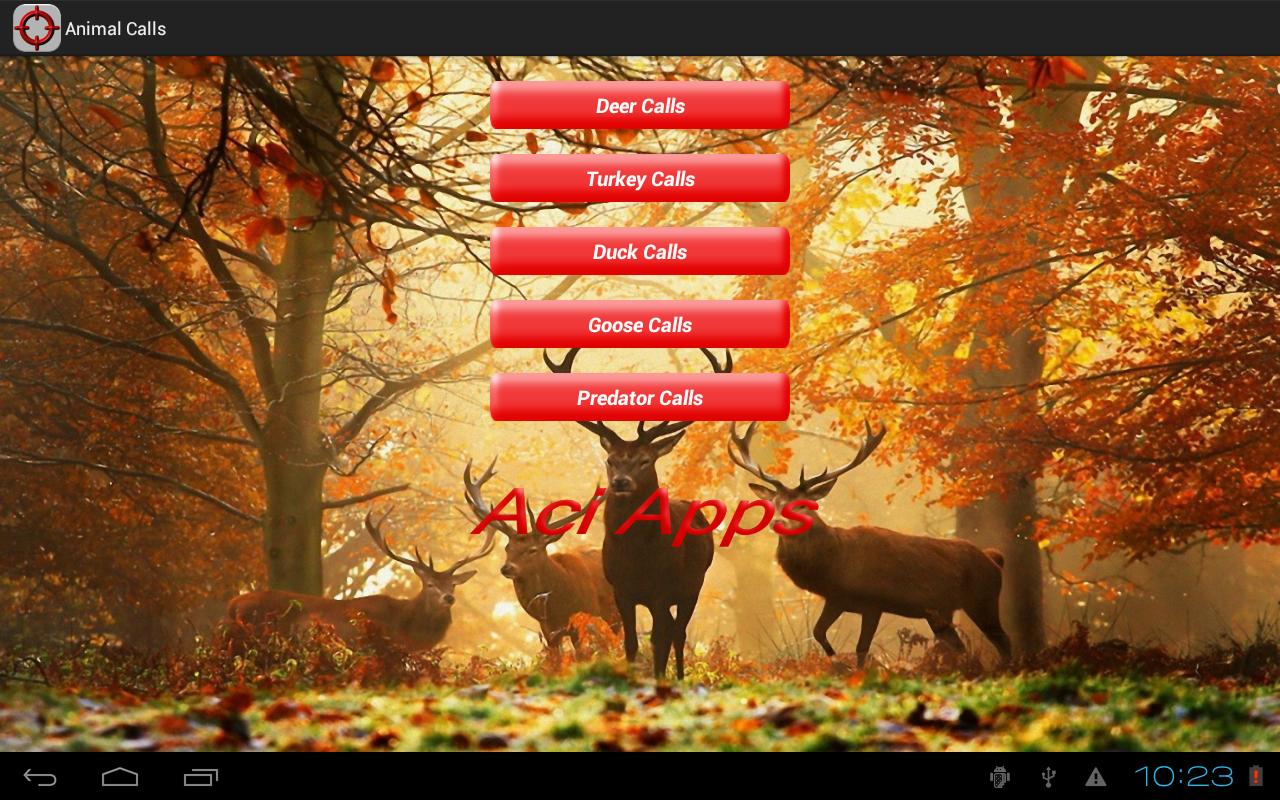 Animal Calls