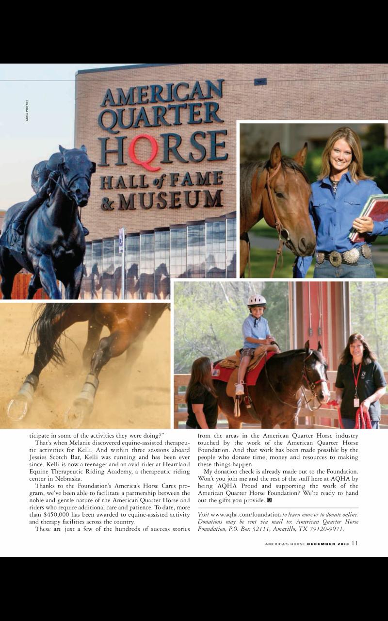 America's Horse