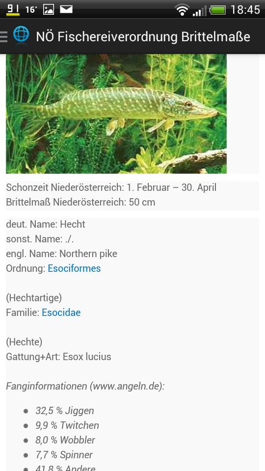 Zielfisch