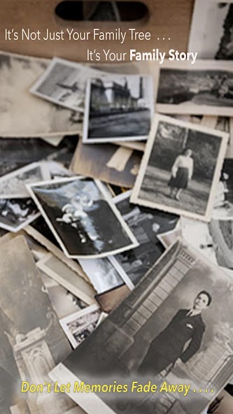 Home Chronicle
