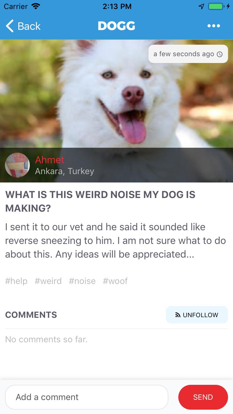 Dogg
