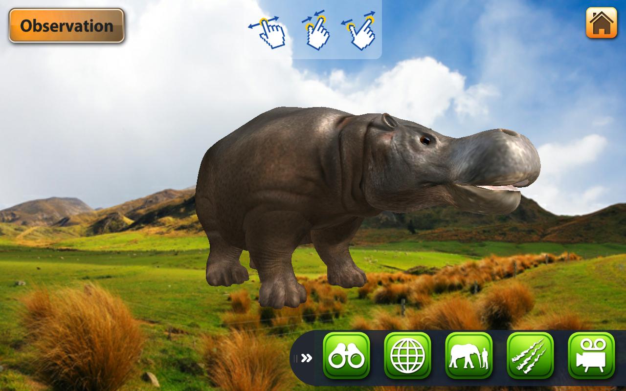 EVO ANIMAL - EVOANIMAL AR