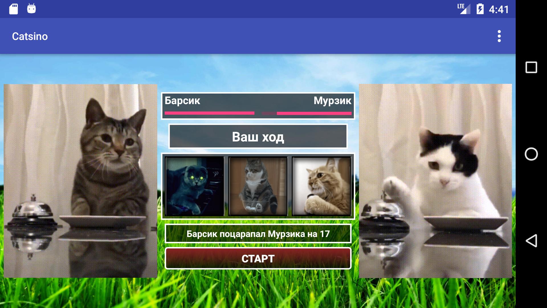 Catsino