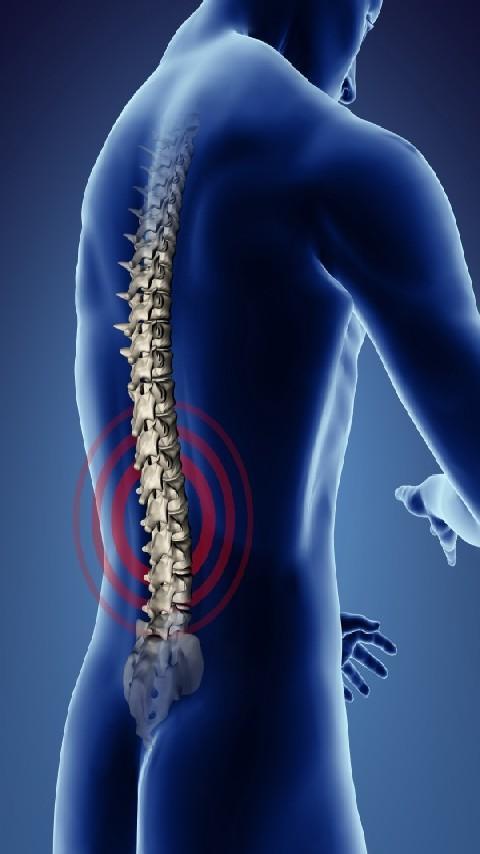 Chiropractor