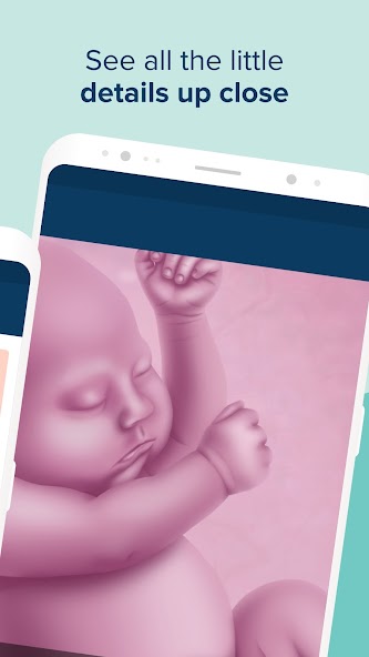 Ovia Pregnancy