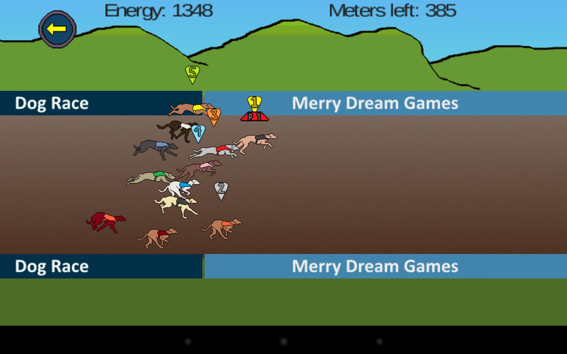 Greyhound Dog Race