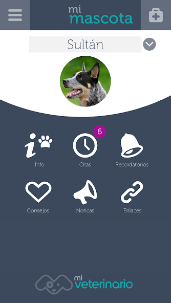 Mi Veterinario