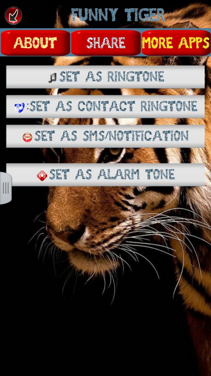 Big cats sounds