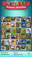 Matching Madness - Animals