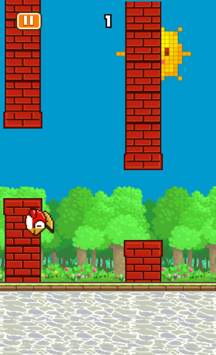 Rocky Bird