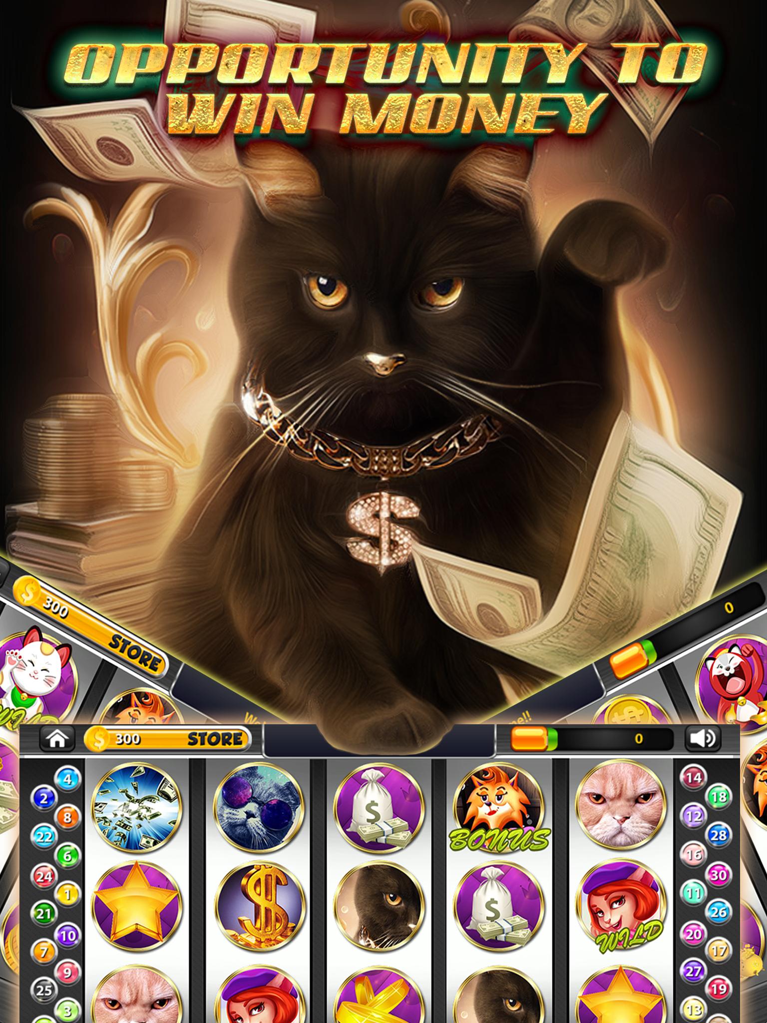 Fat Cat Money Slots