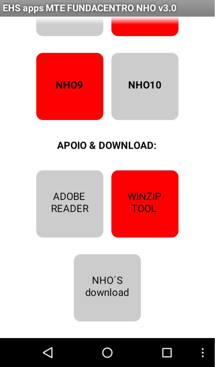 MTE Fundacentro NHO BR