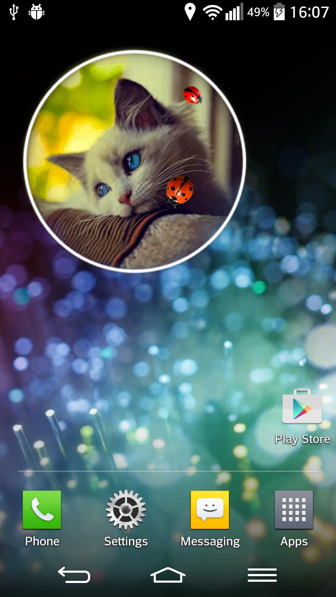 Kitty Clock Widget