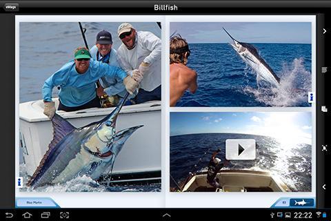 "Ultimate Fishing Books"