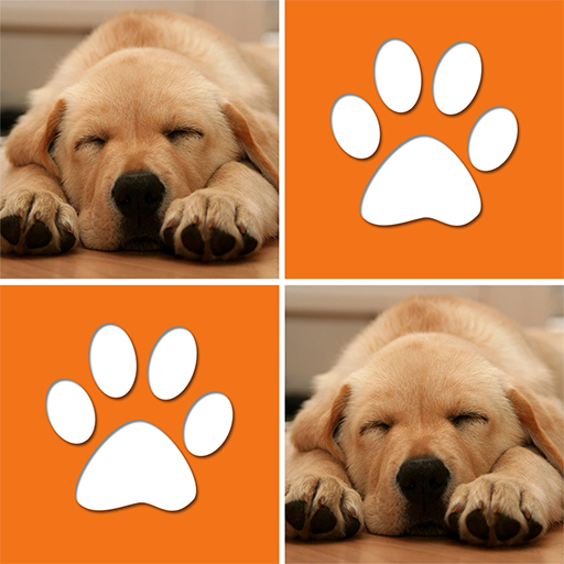 Cute Dogs Cards Matching Game