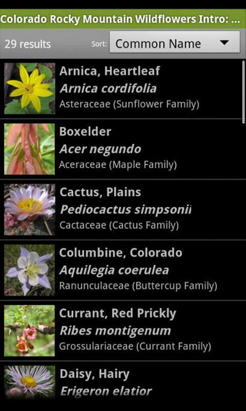Colorado Wildflowers Intro