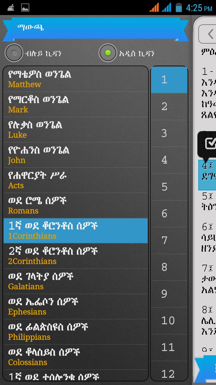 Amharic Bible - True Light