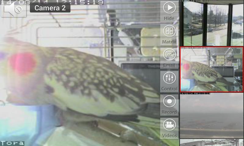 Viewer for Vivotek cameras