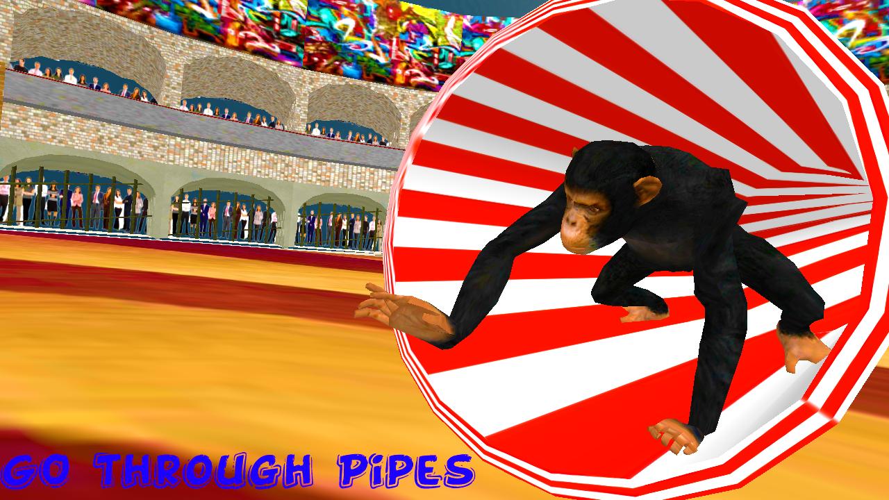 Street Circus : Goat and Monkey Stunts