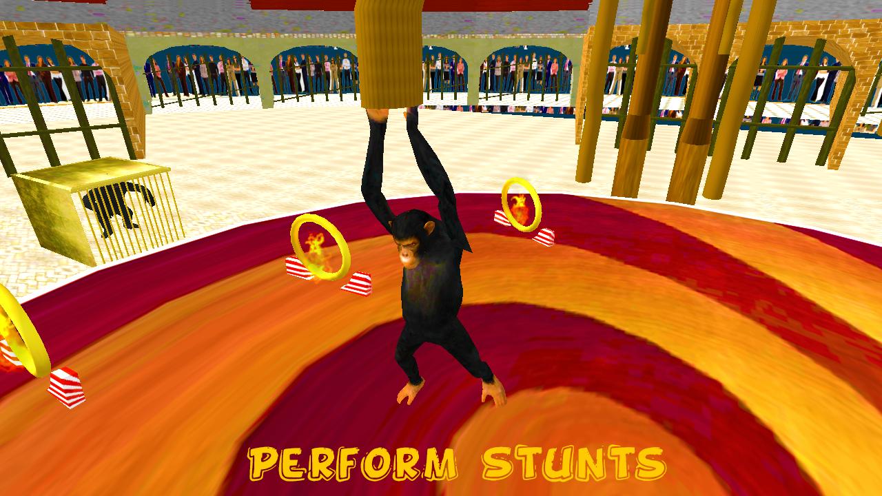 Street Circus : Goat and Monkey Stunts