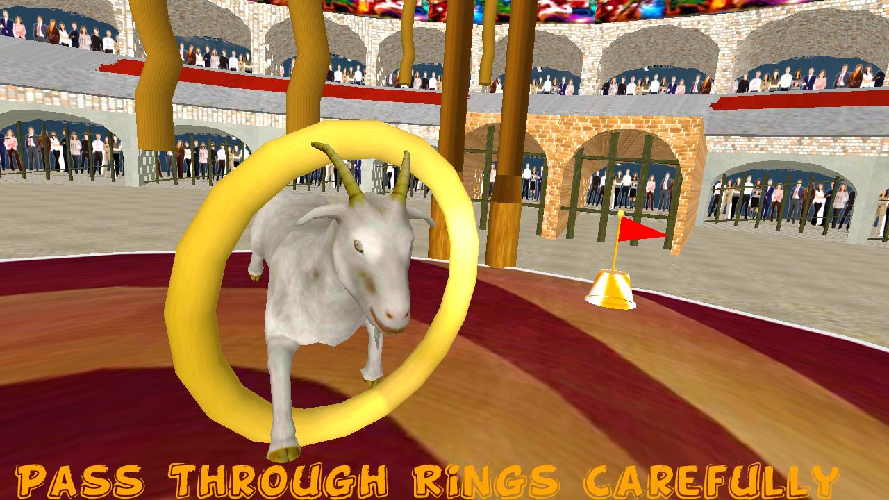 Street Circus : Goat and Monkey Stunts