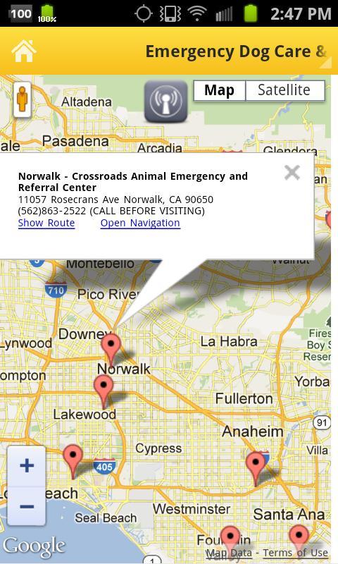 Orange County Dog First Aid