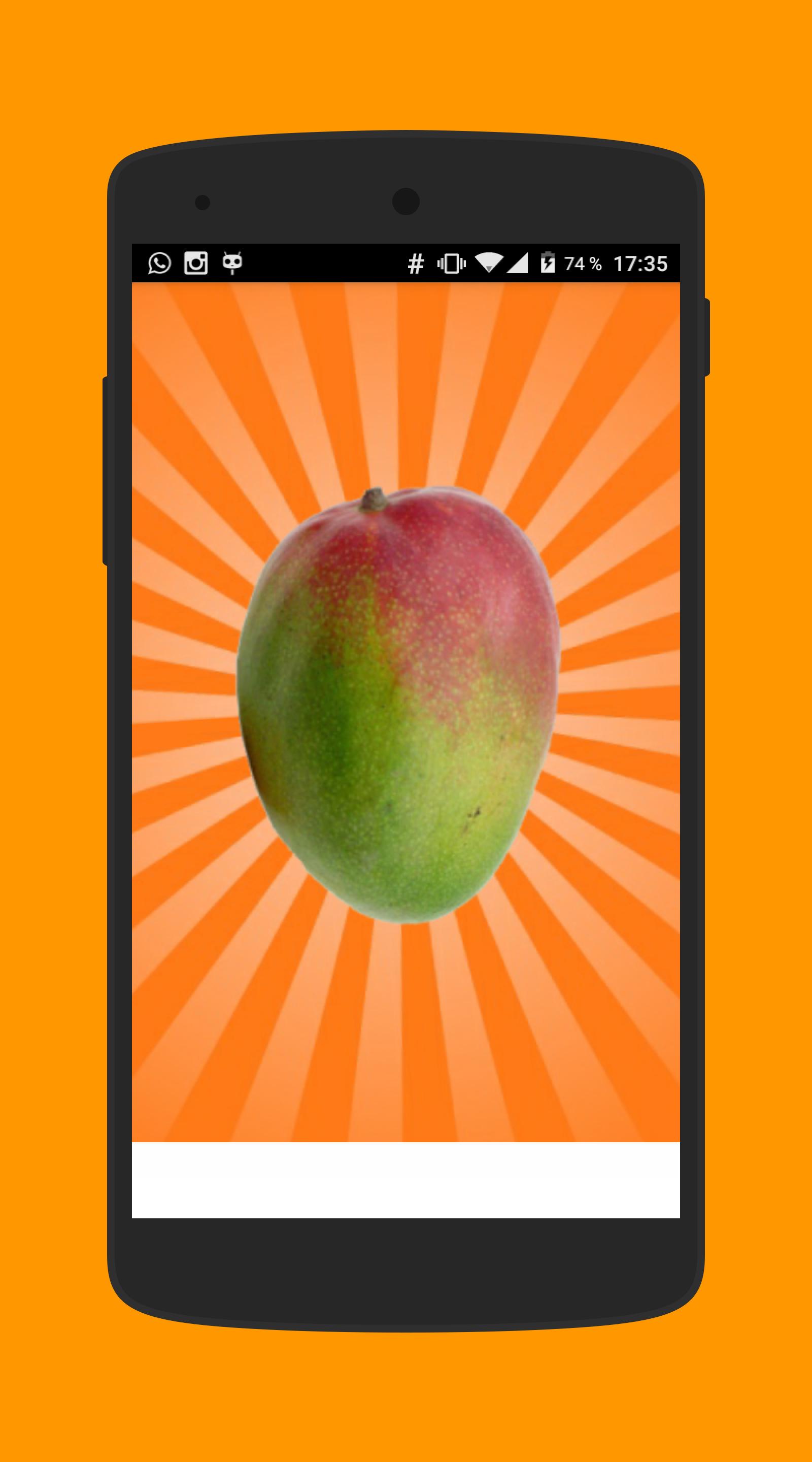 Mango Simulator