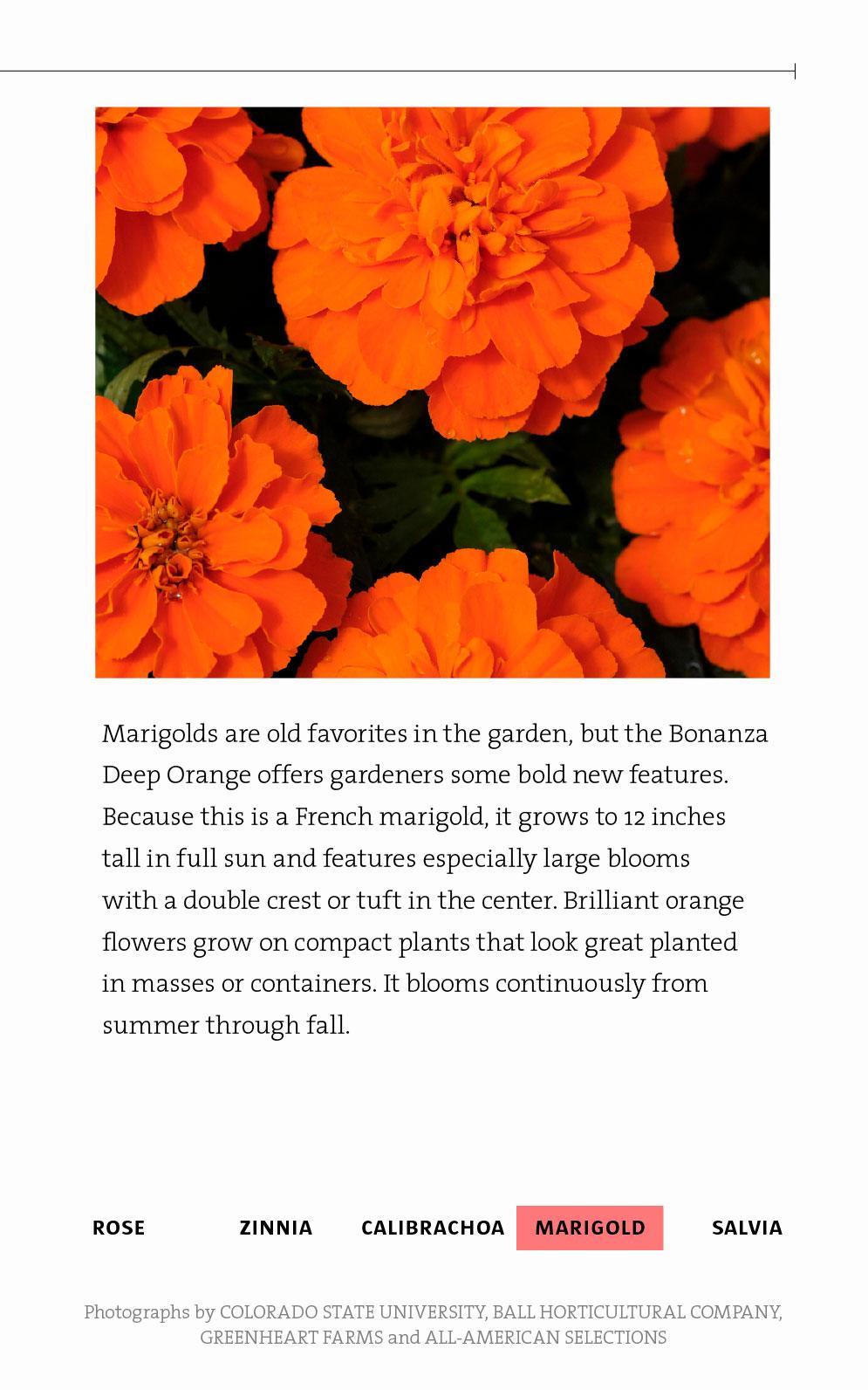 Denver Post Garden Colorado