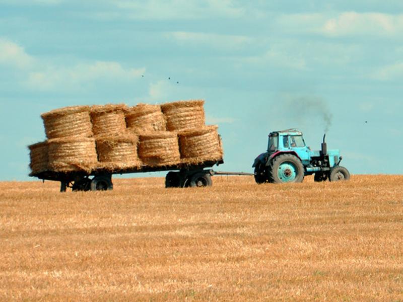 Farm Tractor Fun Game