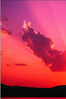 Smart App Update Apk04