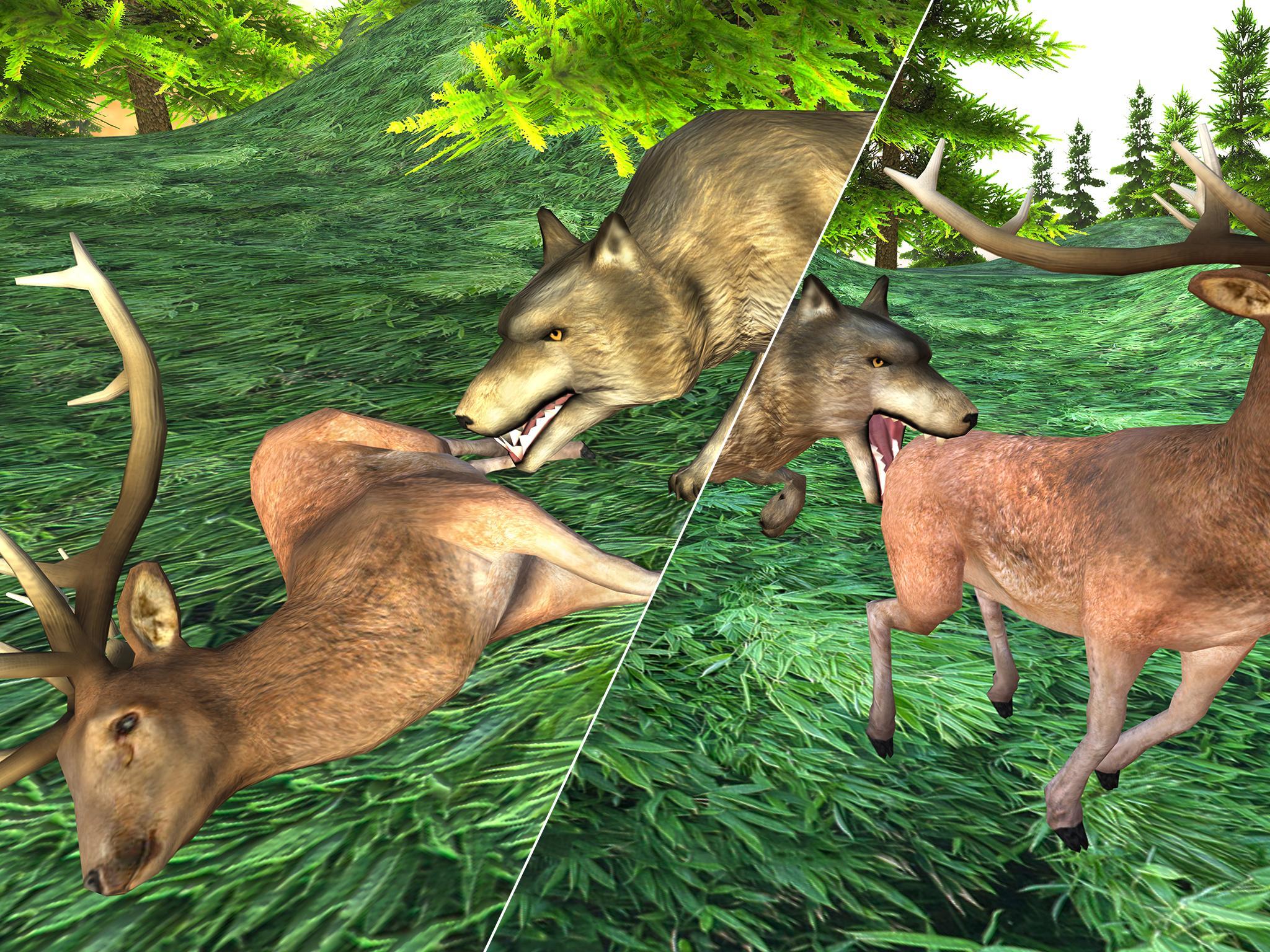 Wild Wolf Attack Adventure 3D