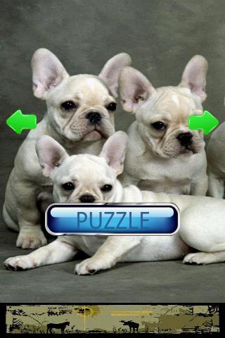 Dog Puzzle
