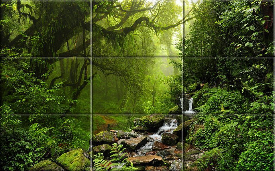 puzzle - forests