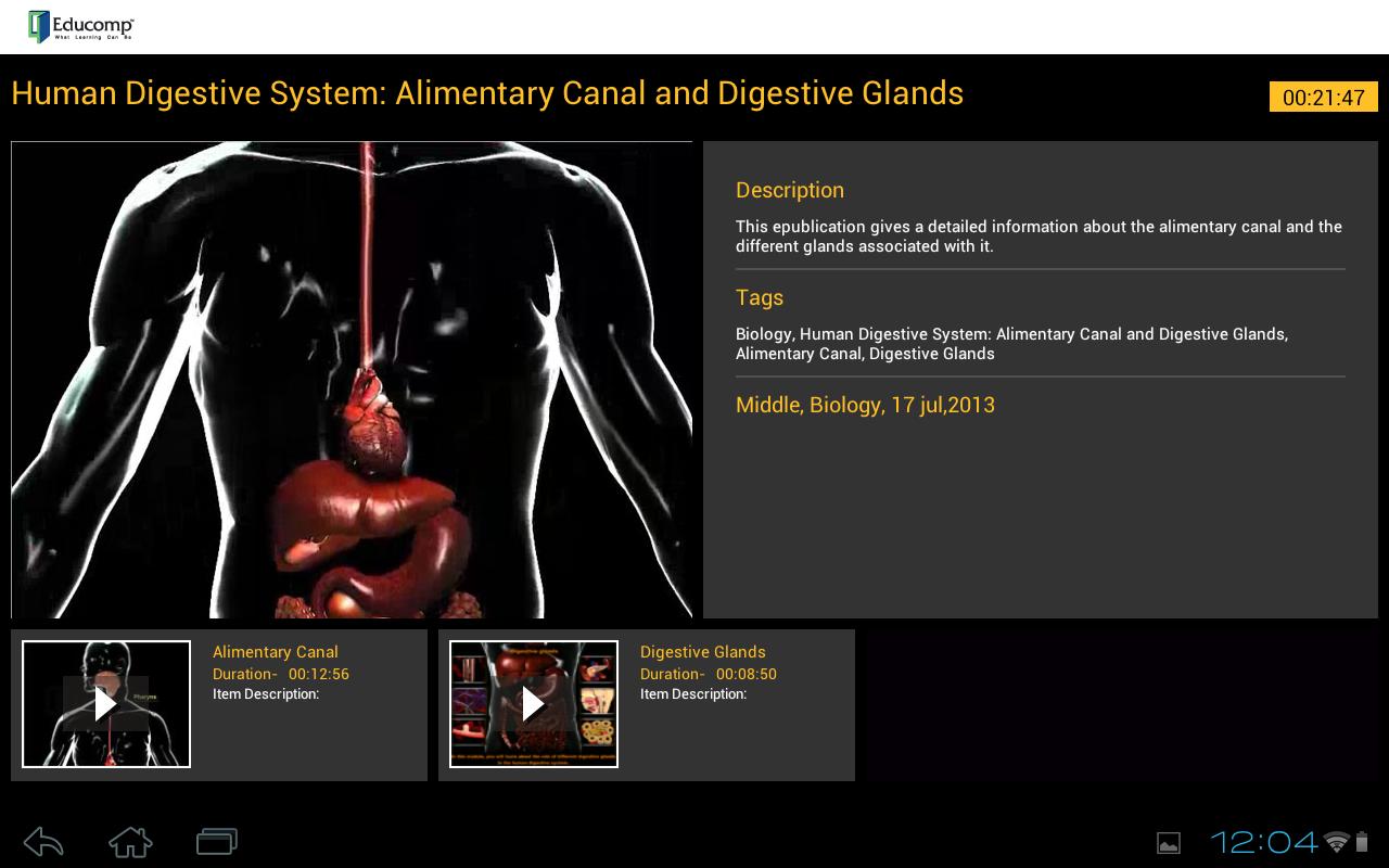 Human Digestive System