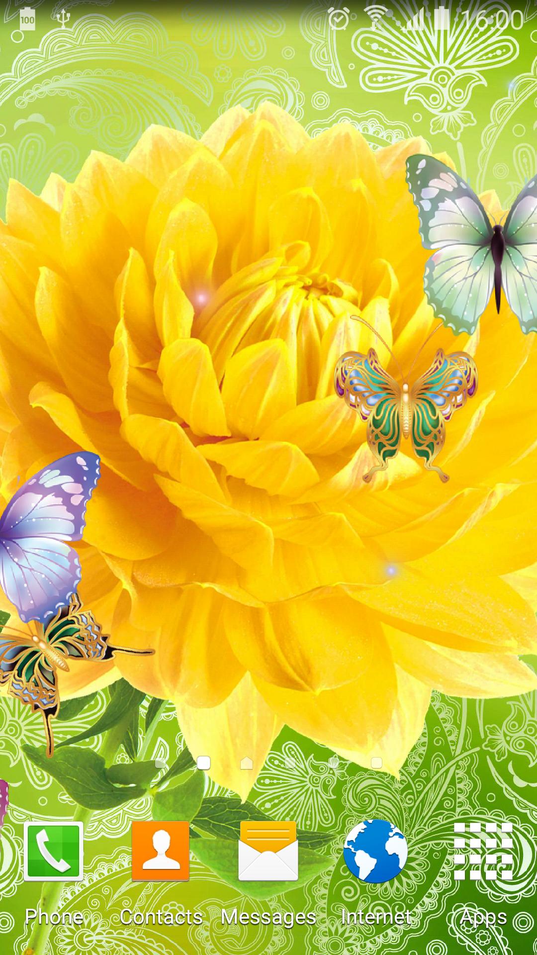 Cute Butterfly Live Wallpaper
