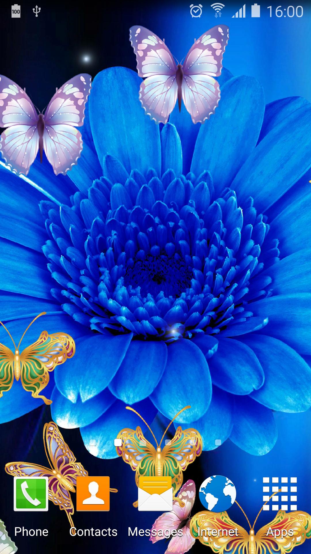 Cute Butterfly Live Wallpaper