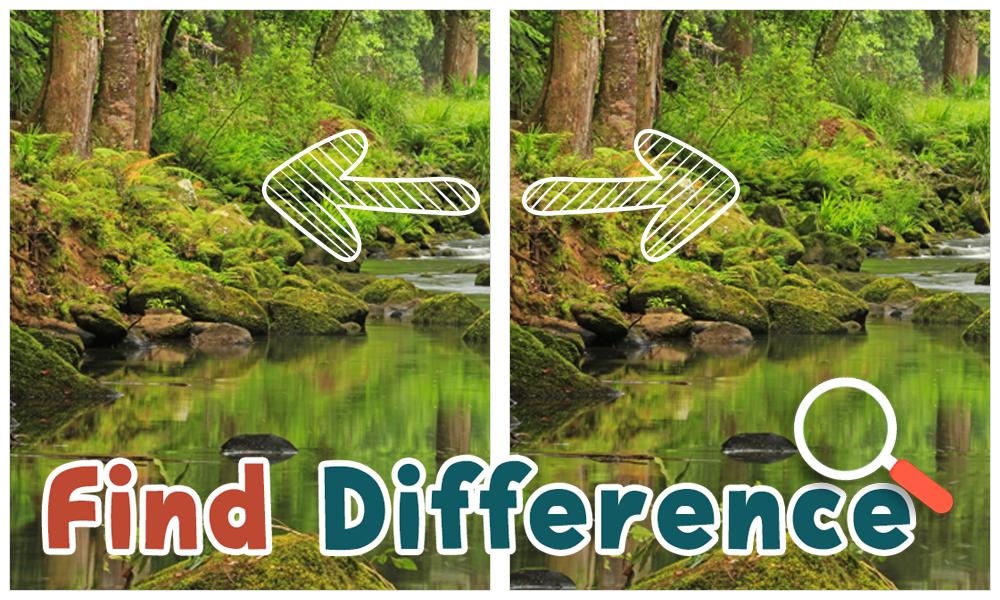 Find Differences Nature