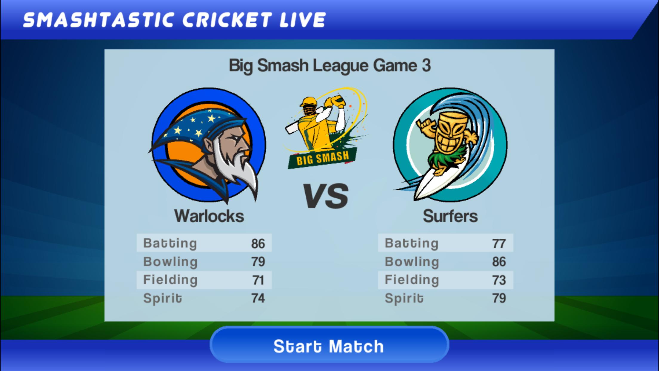 Smashtastic Cricket