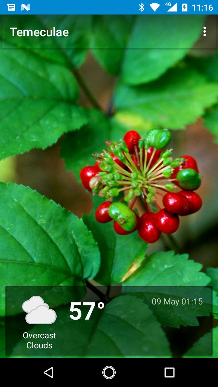 Temecula, CA - weather and more