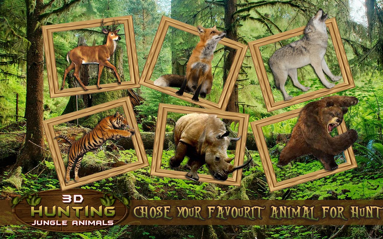 3D Hunting Jungle Animals