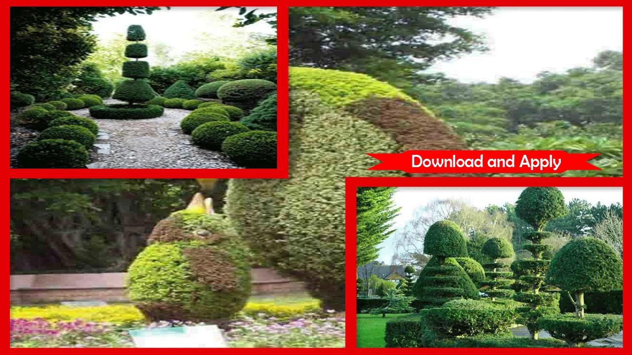 Creative Beautiful Sweetheart Topiary