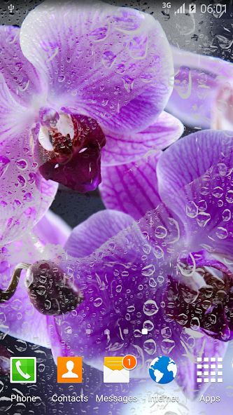 Orchids Live Wallpaper