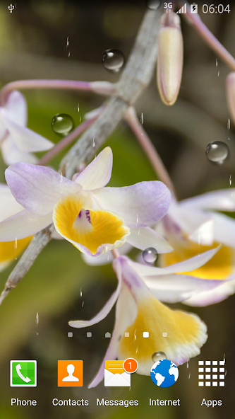 Orchids Live Wallpaper