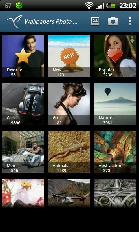 Wallpapers Free - Colibri