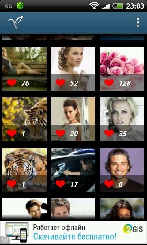 Wallpapers Free - Colibri