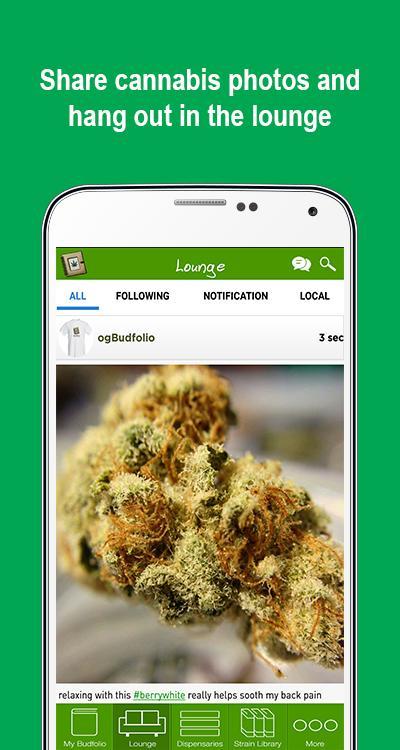 Budfolio